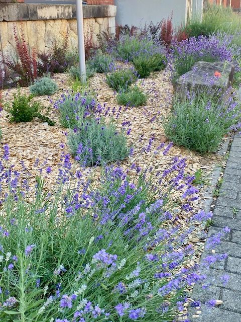 Garten Hackschnitzel rindenfrei 1500 Liter BigBag – Bild 2