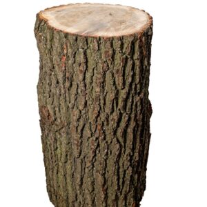 Hackklotz Hartholz Eiche