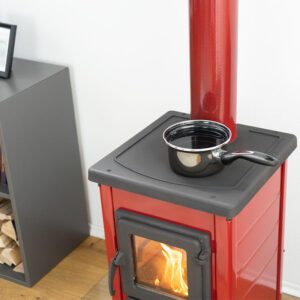 Kaminofen Karl 6kW